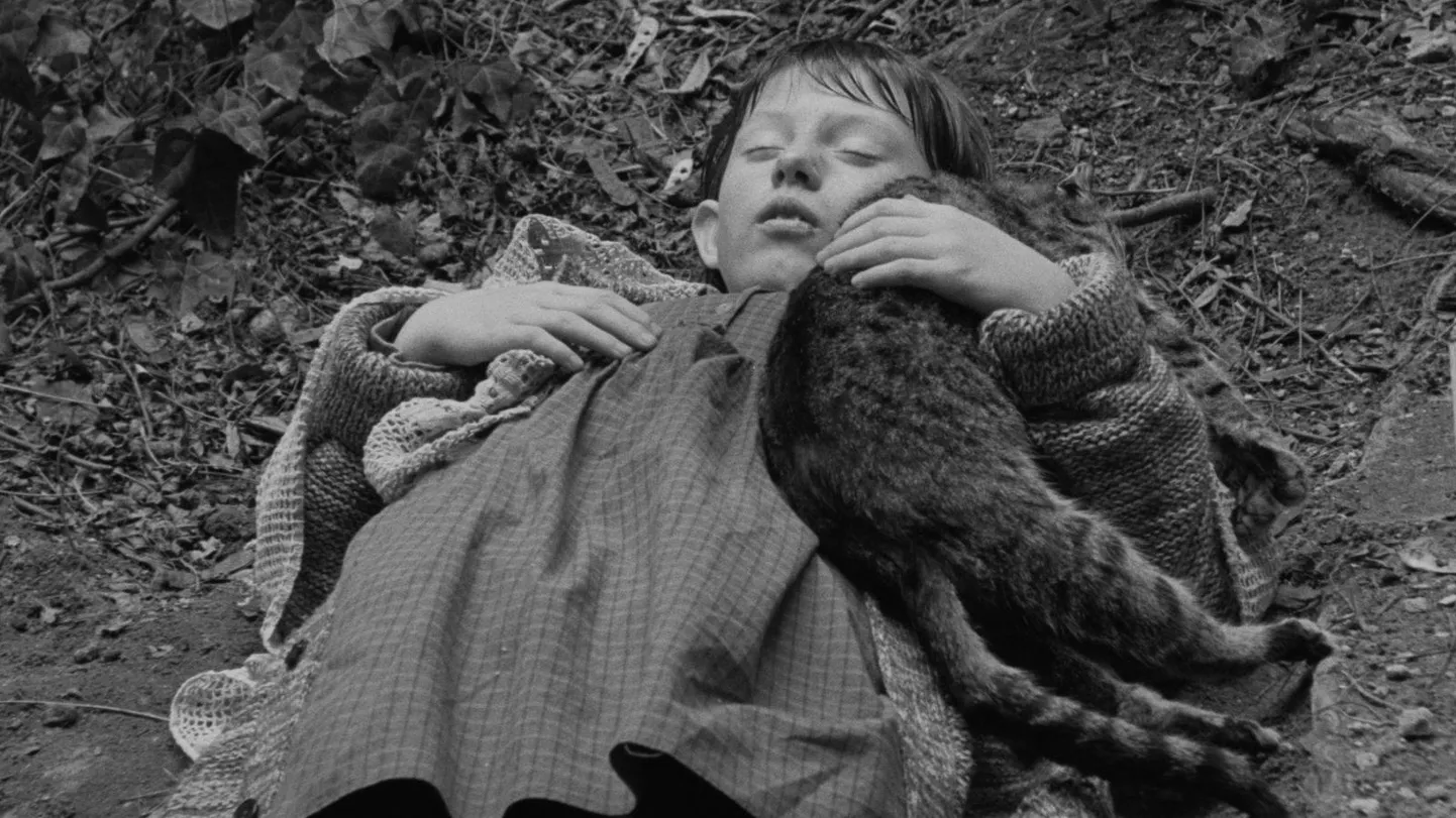 Mõnikord on Béla Tarri võrreldud ka eestlastele hästi tuntud Andrei Tarkovskiga.