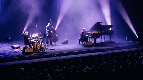 Maailmakuulus improvisatsioonitrio The Necks saabub Tallinnasse