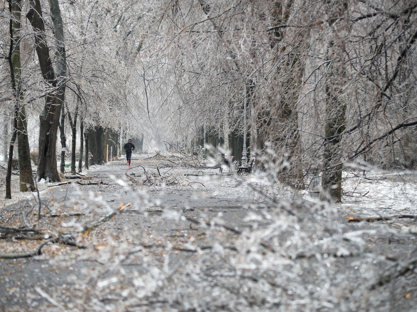 Jää tekitas Rumeenia pealinnast palju pahandust.