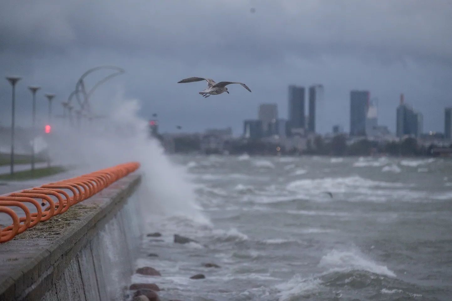The storm in Tallinn.