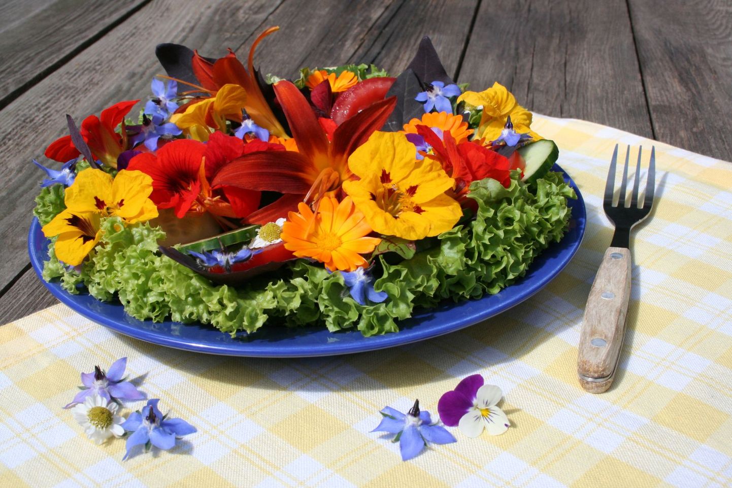 Suvise salati valmistamisel on hea ka oma aias kasvavaid maitsvaid lilli kasutada.