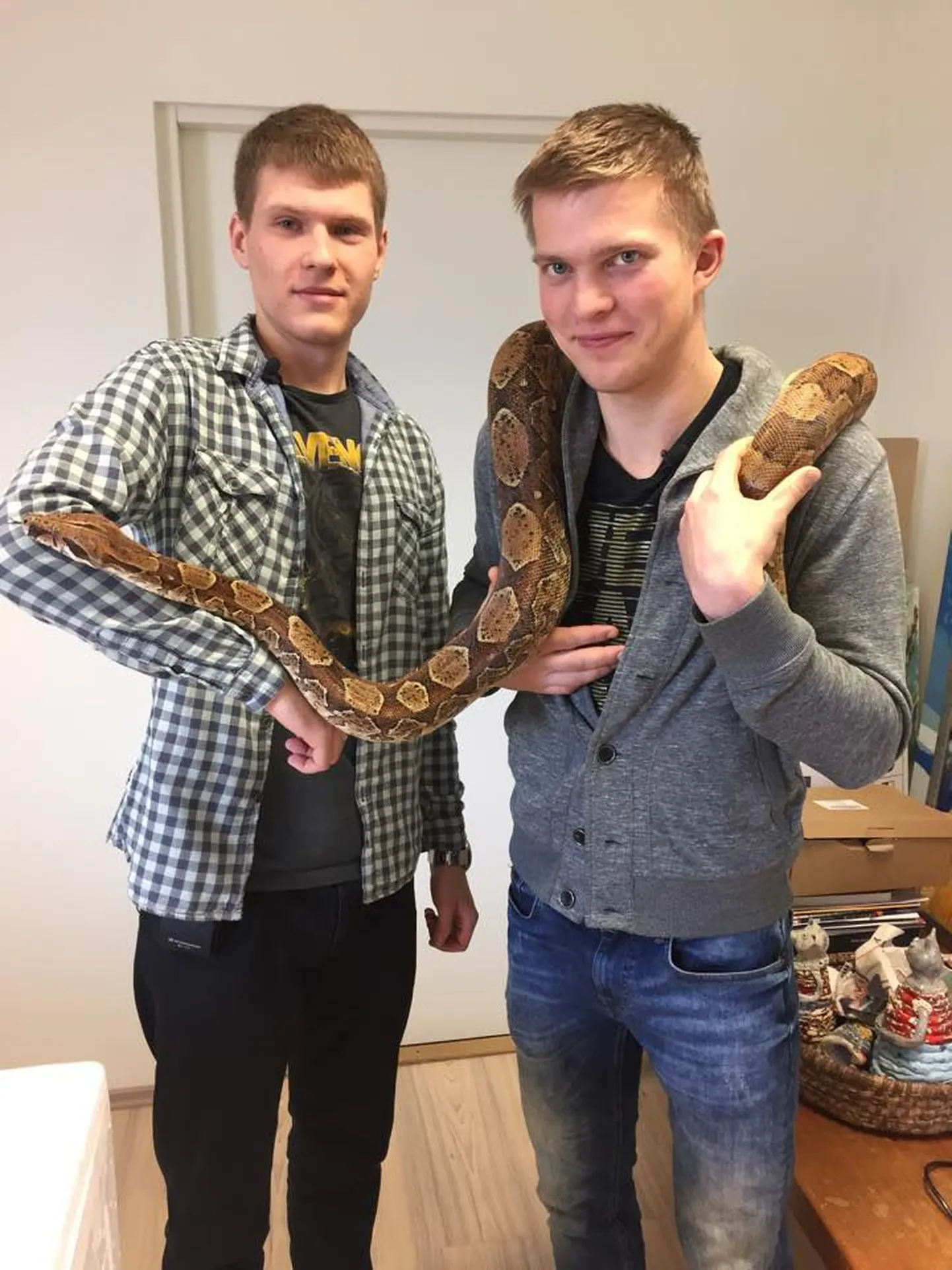 Kanal 2 otsib “kogujaid”