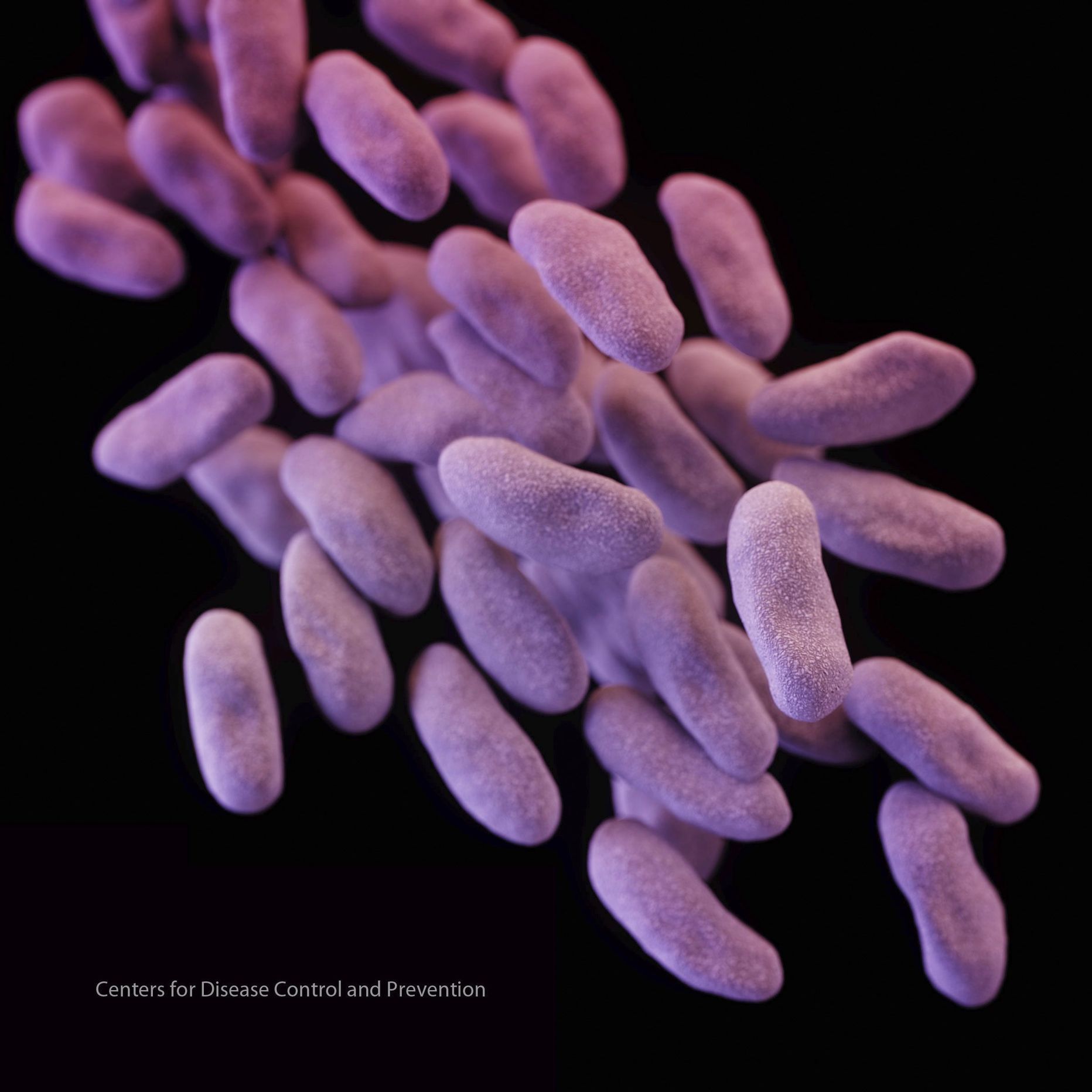 Antibiootikumidele resistentsed bakterid