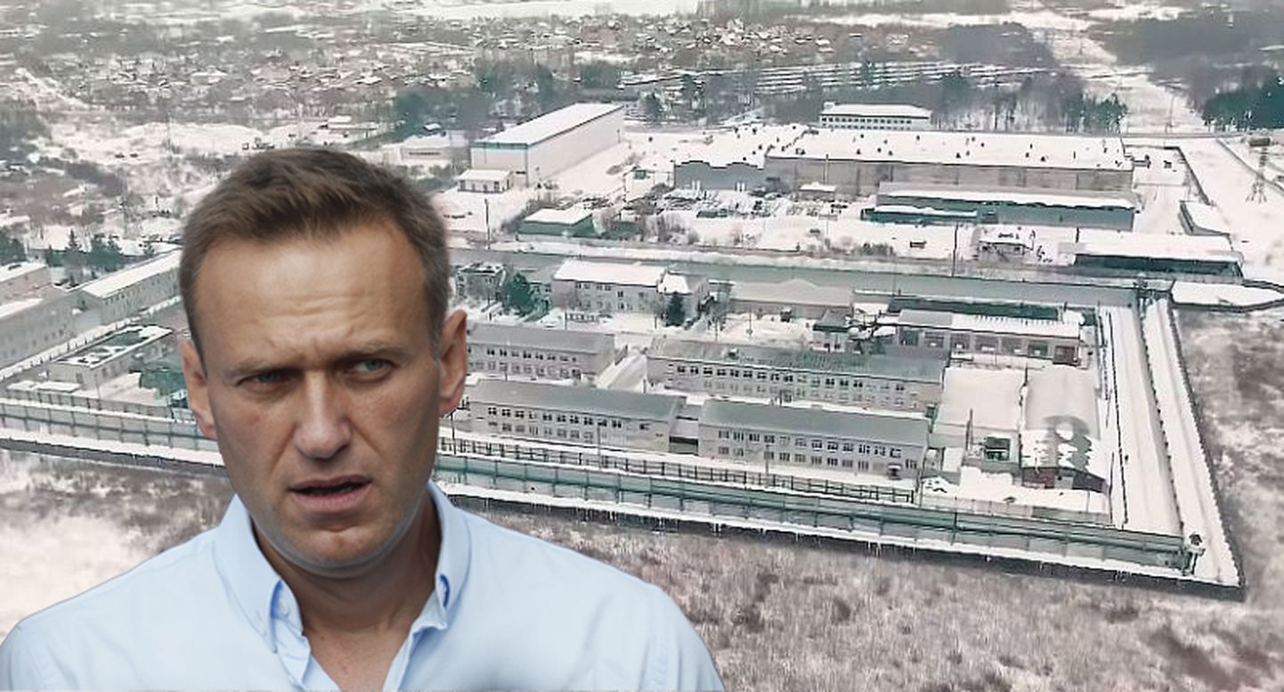 Алексей Навальный. На заднем плане - колония в г. Покров Владимирской области