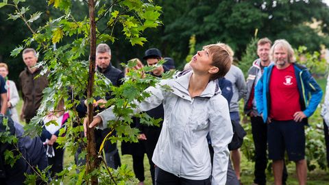 Madrus Kersti Kaljulaid aitas likvideerida purjelava Admiral Bellingshausen ökoloogilist jalajälge