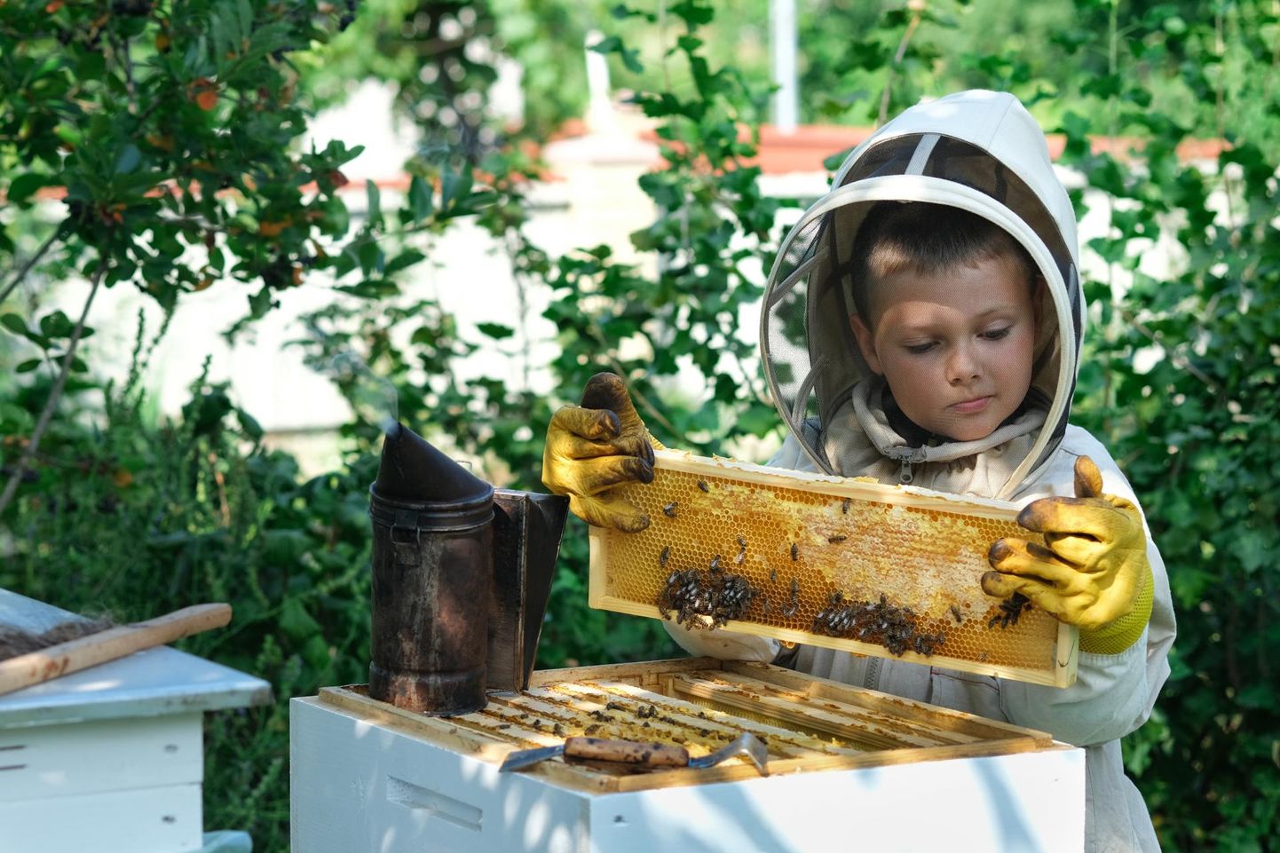 Lisaks mesindussektori murede lahendamisele plaanib Eesti Mesinduskogu teha tööd selle nimel, et tutvustada mesindust rohkem ka lastele, et nad oskaksid hinnata mesindust ja Eesti mett.