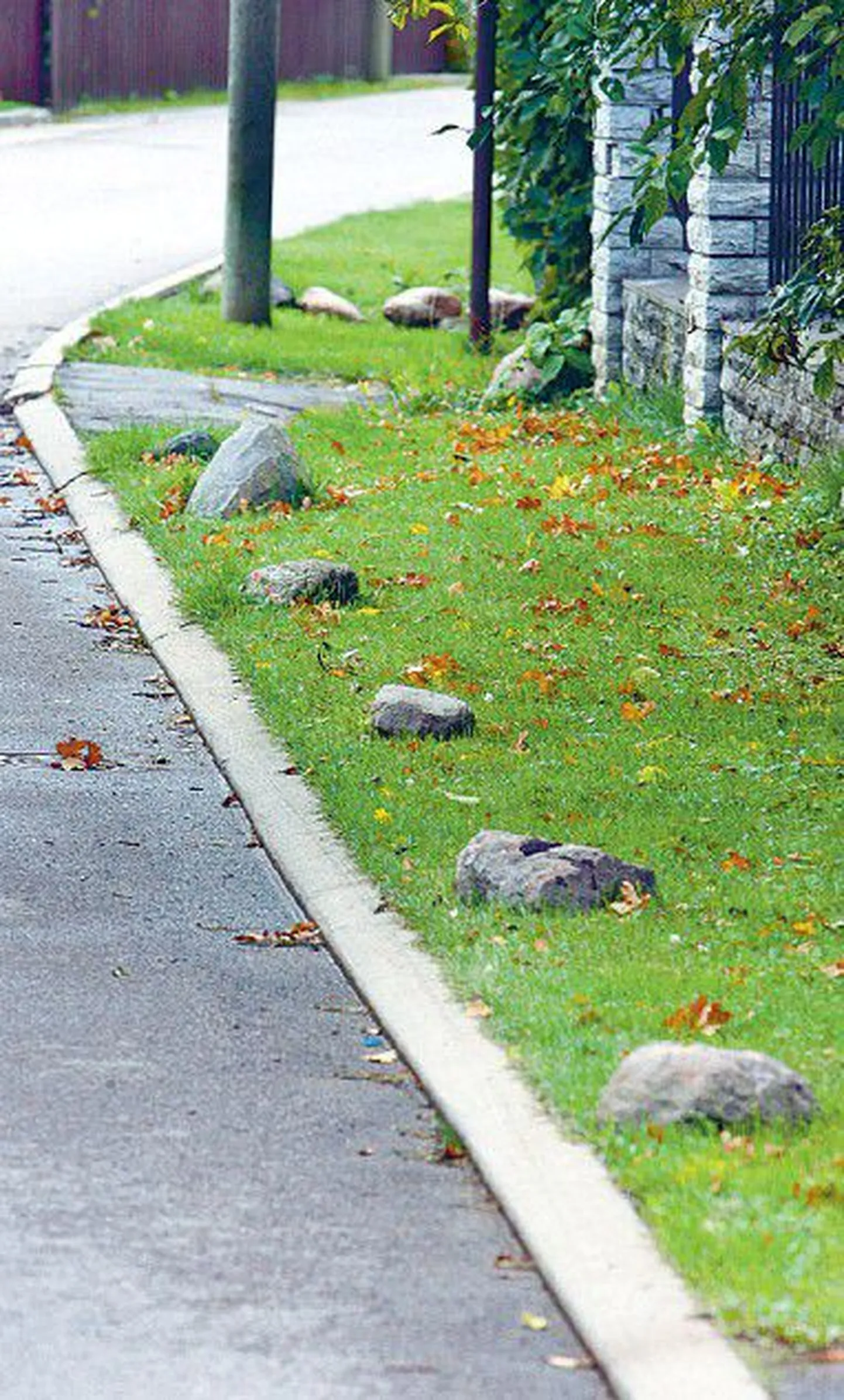 В Меривялья на Ида теэ камни установлены по обеим сторонам улицы, что может создать проблемы в дорожном движении.