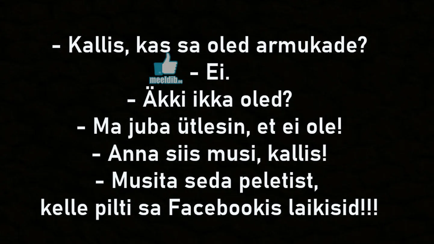 Artikli foto