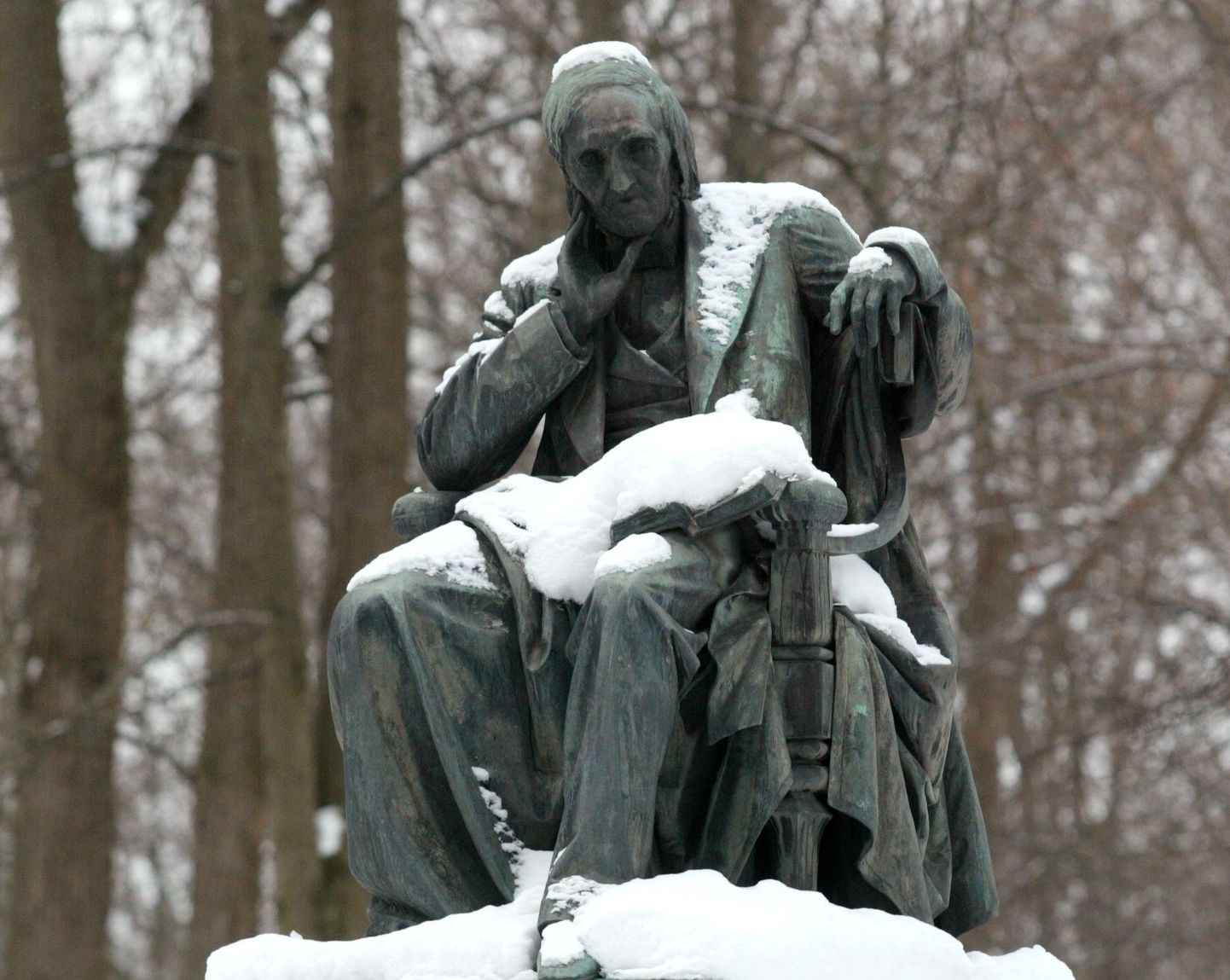 Karl Ernst von Baeri monument Toomemäel.