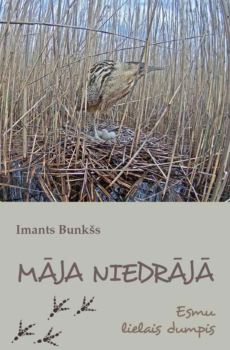 Raksta foto