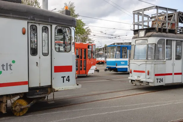 PISARAD SILMIS «Kuradi sitikad, sõna kuulata ei oska!» Tallinlanna ...