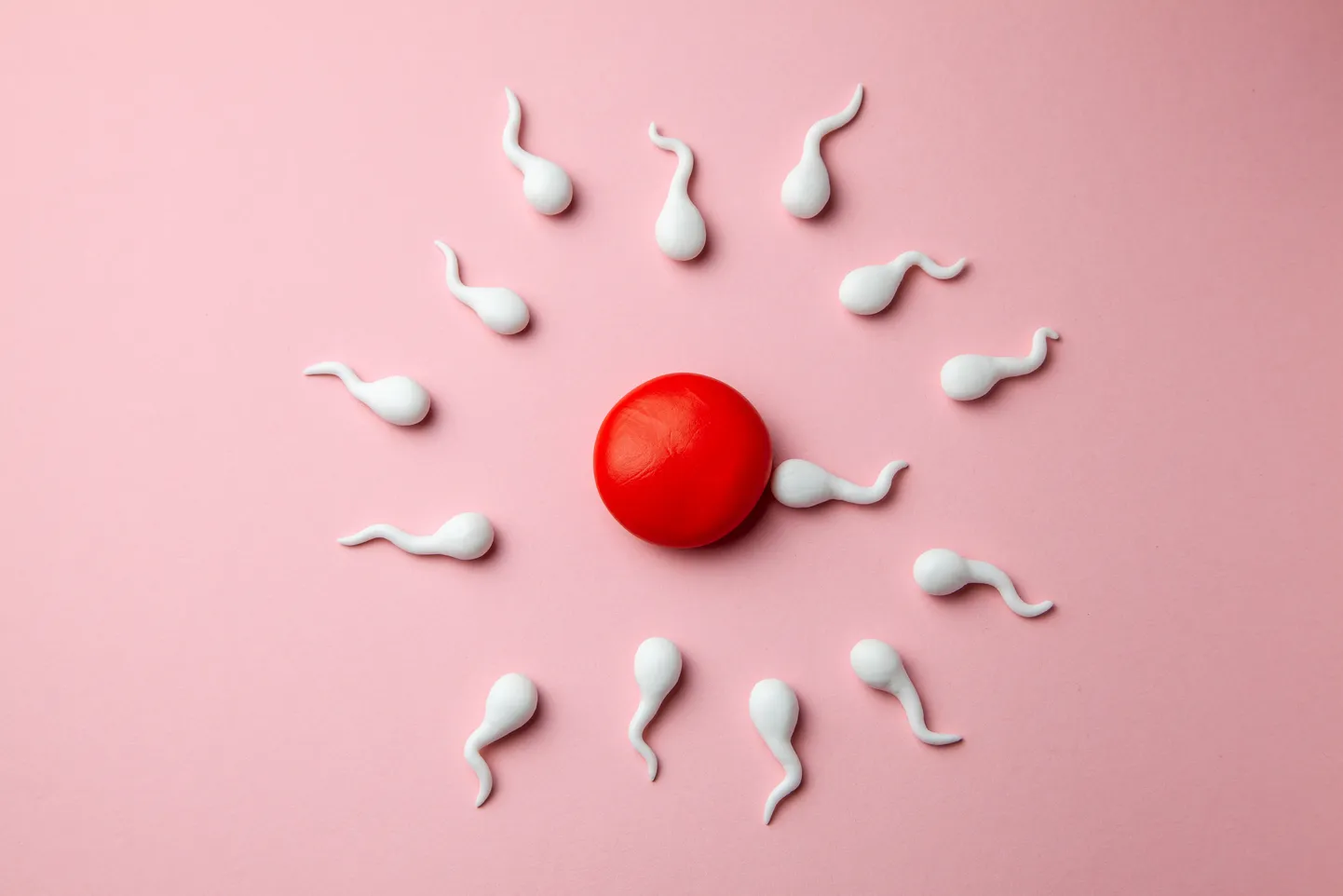 Вирус Covid-19 может привести к необратимому снижению качества спермы.