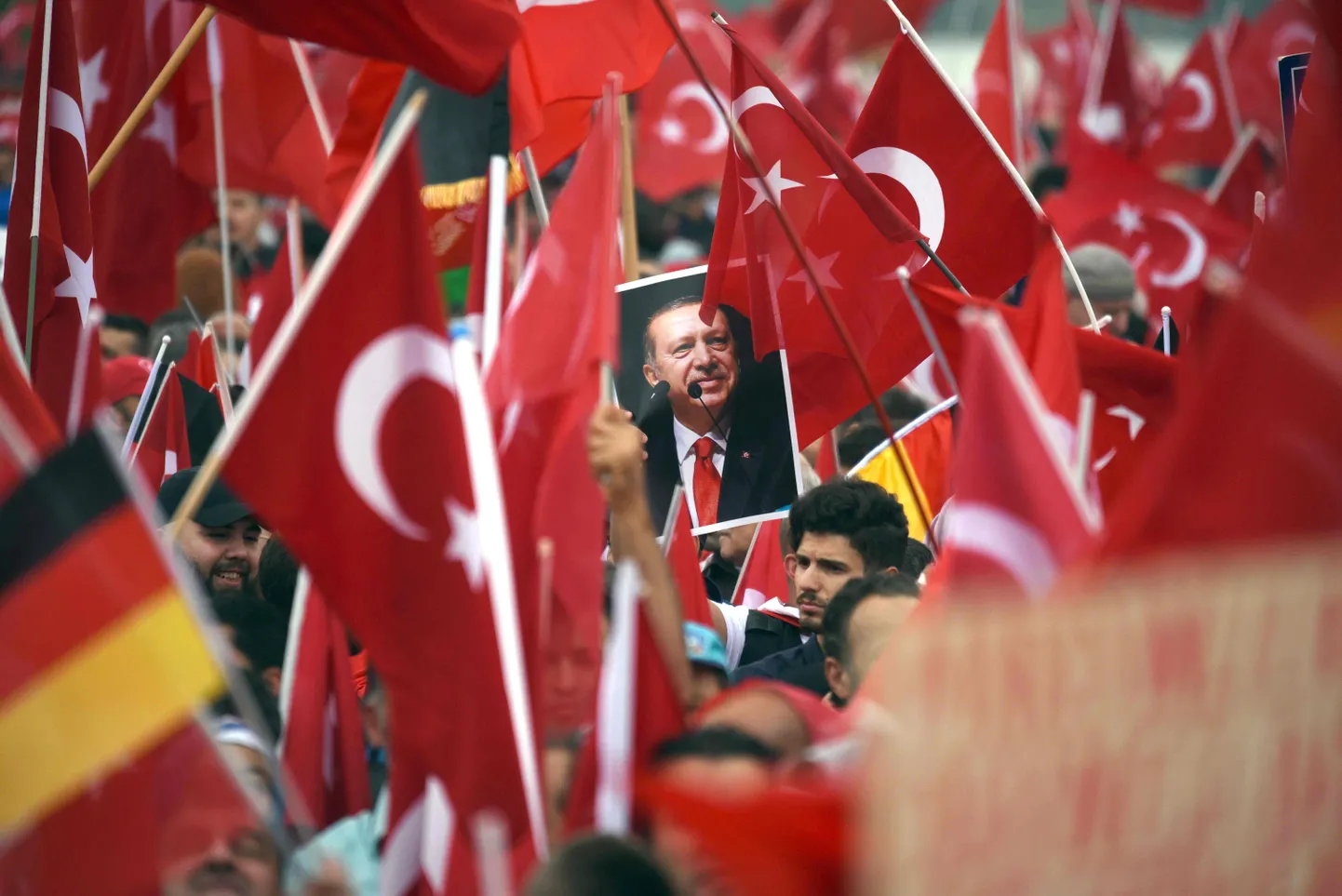Artikli foto