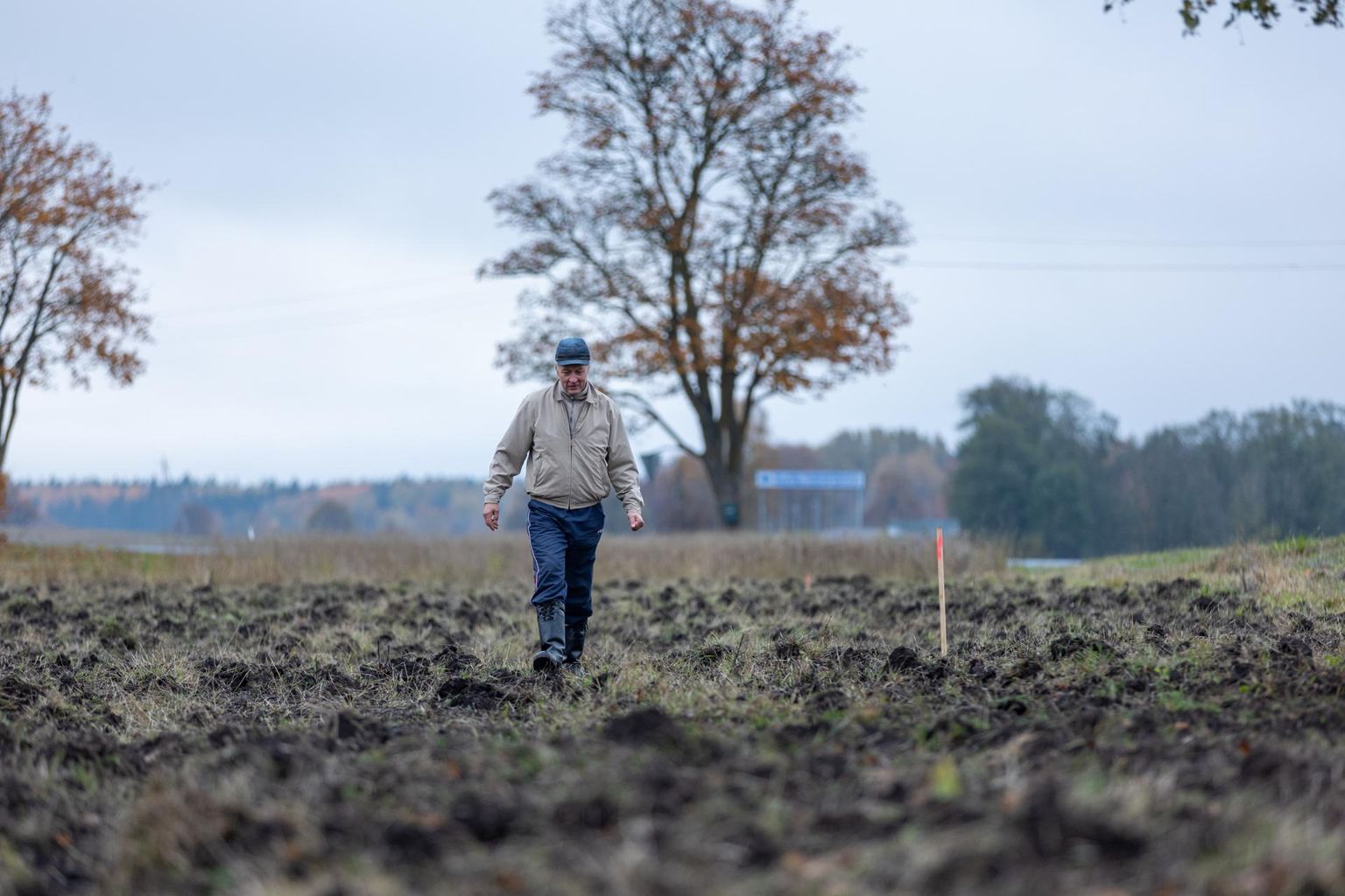 Andres Sild näitab Männikmäe krundil sammudega, kust hakkab jooksma kergliiklustee. Tema sõnul on see põllumaa raiskamine.