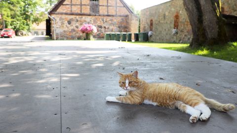 Svētdien gaidāms karsts laiks