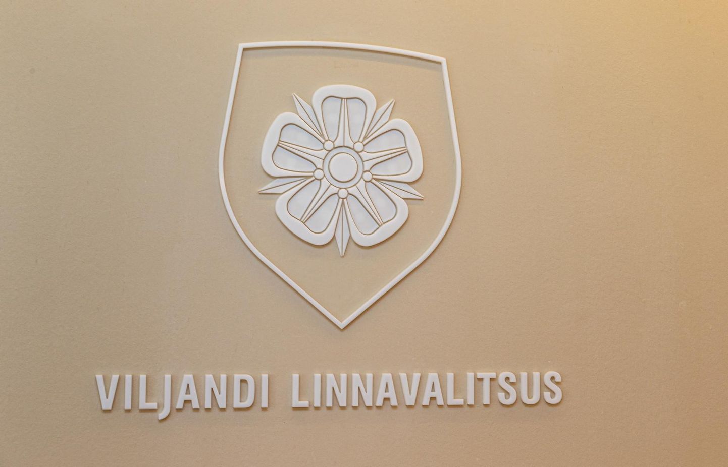 Viljandi linnavalitsus andis välja üheksa 1000-eurost kõrghariduse aastastipendiumi.