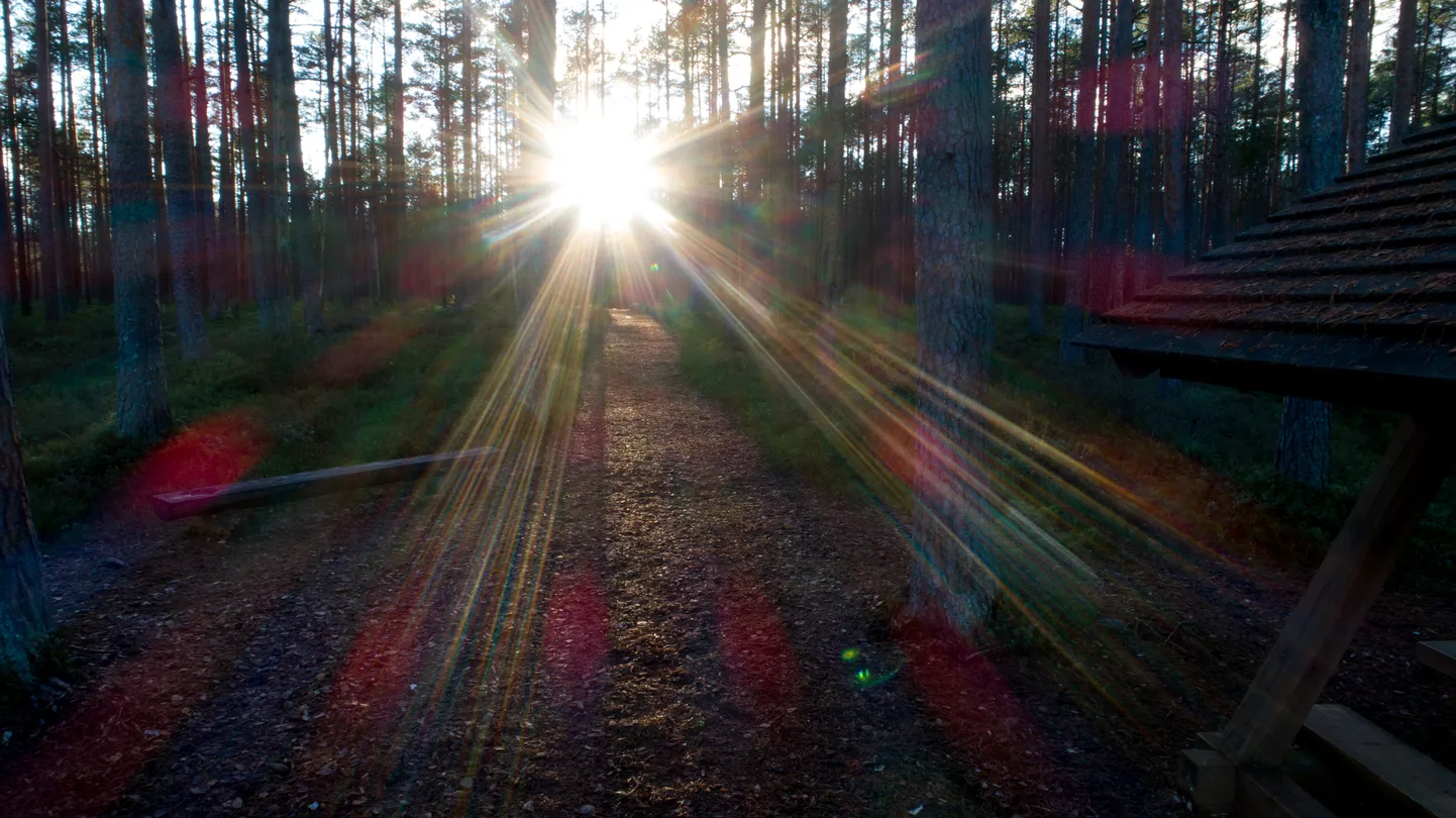 Tunnustusmärgiga soovib ministeerium esile tõsta noori, kes on kaasa löönud loodushoiu tegevuses või pühendunud looduse uurimisele.