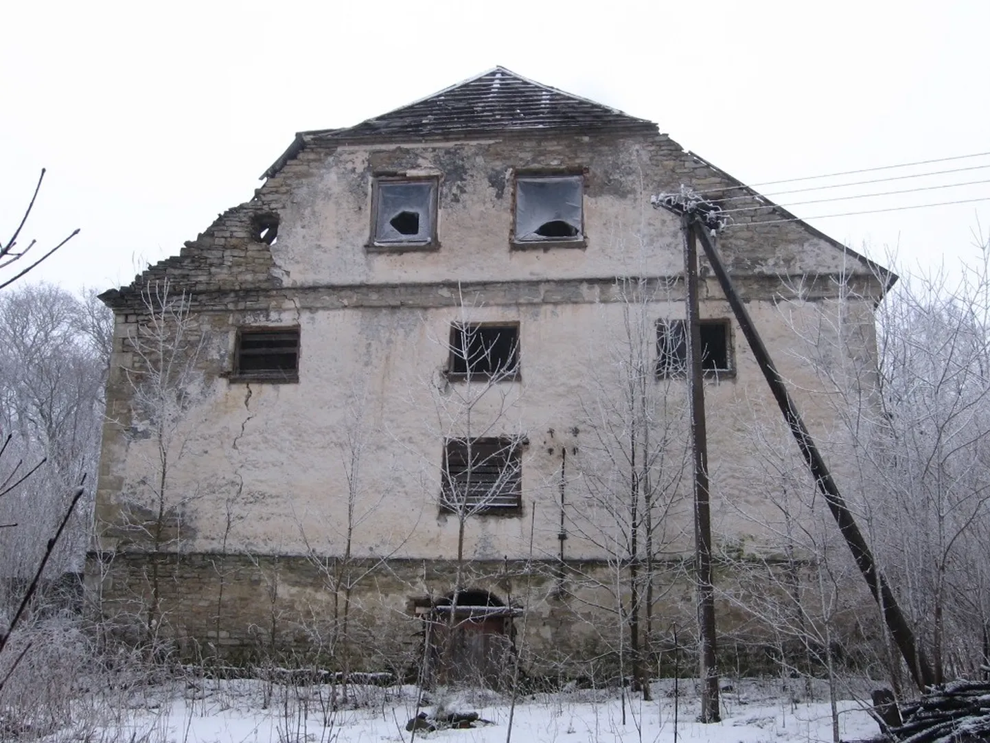 Artikli foto