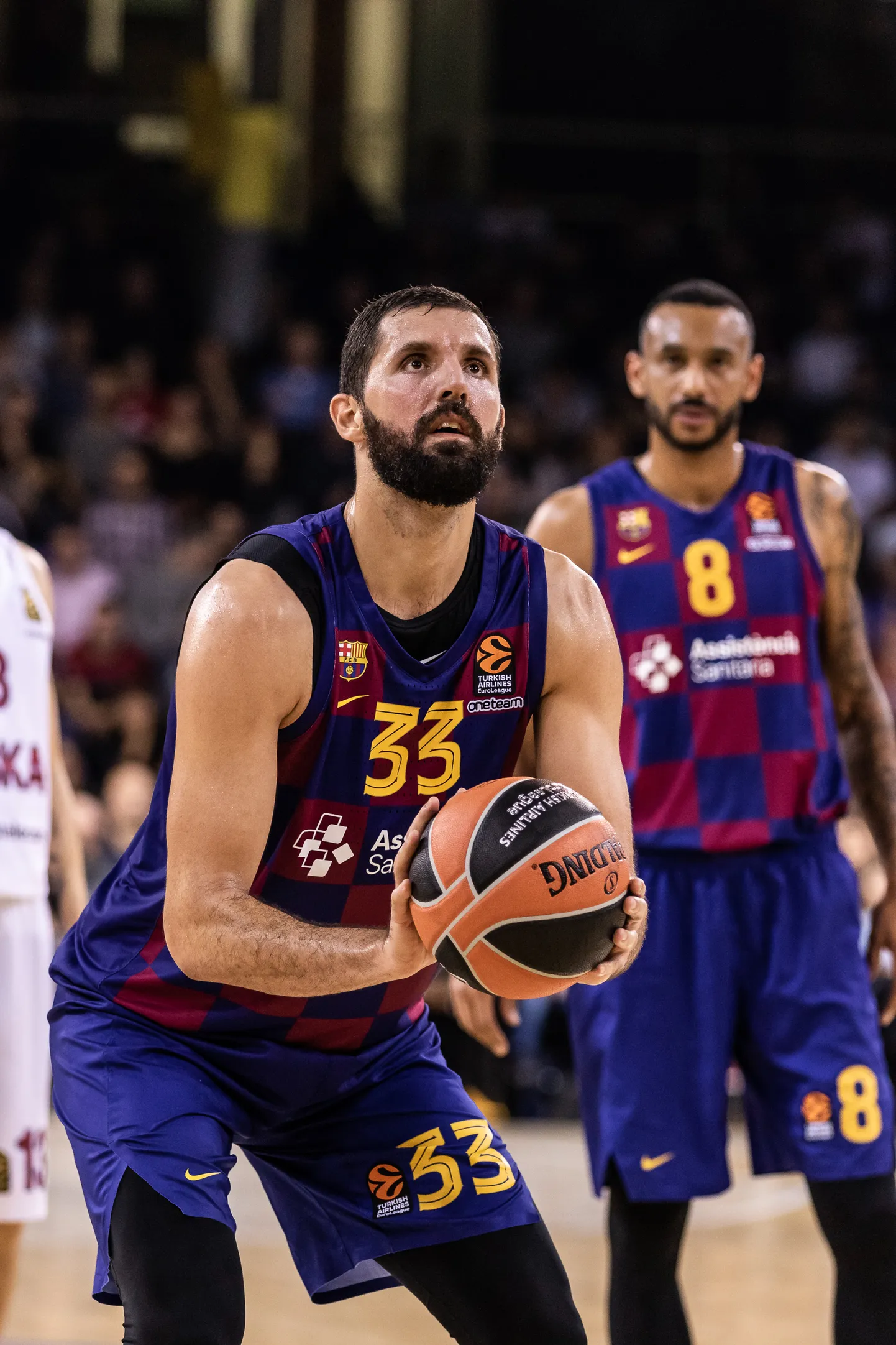 Nikola Mirotic
