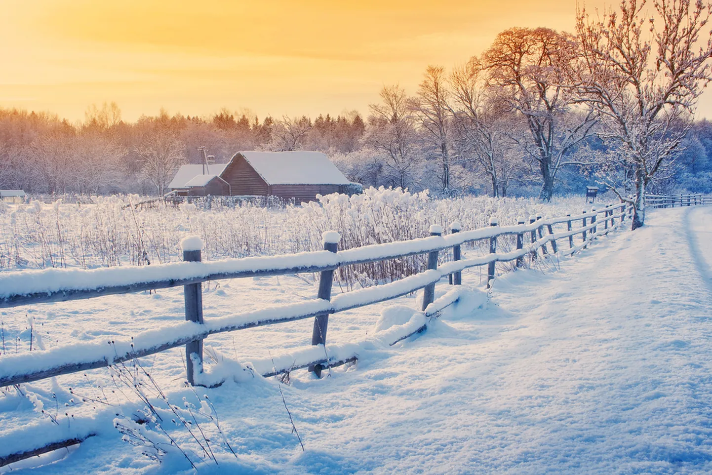 Зима в эстонской деревне. Иллюстративное фото.