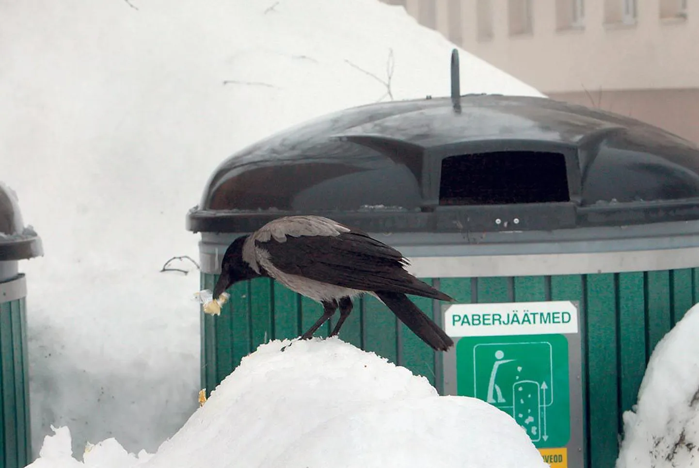 Lumehanged takistasid vanapaberikonteinerite tühjendamist.