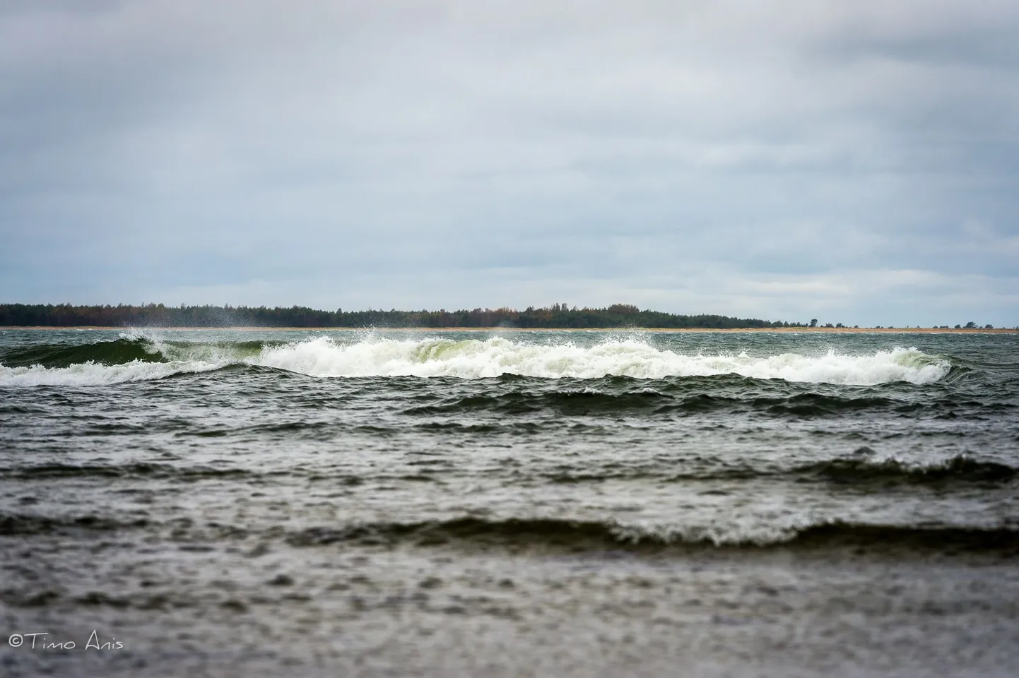 Saaremaa.