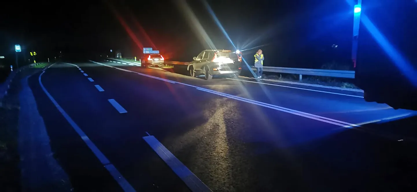 Abissaare külas hukkus kaks teele jooksnud metssiga.