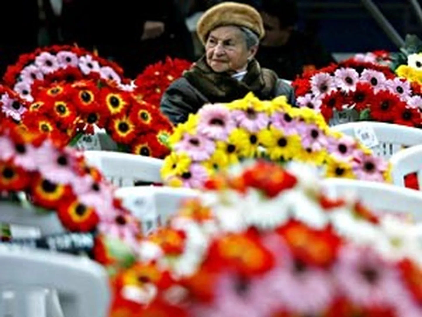 Raksta foto