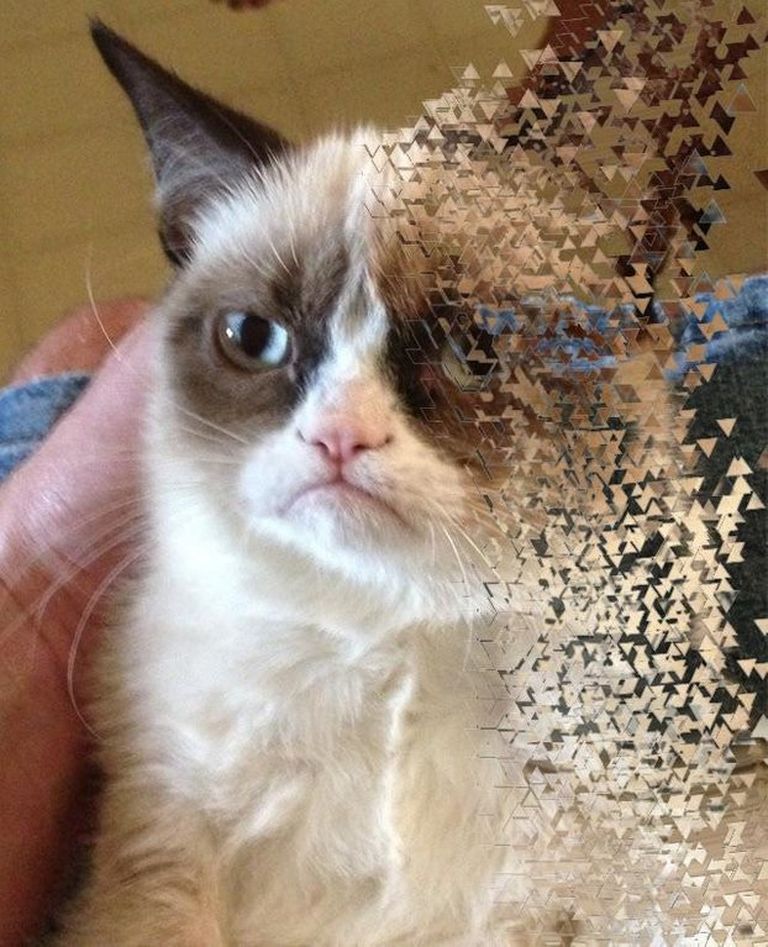 Grumpy Cat hüvastijätu meme
