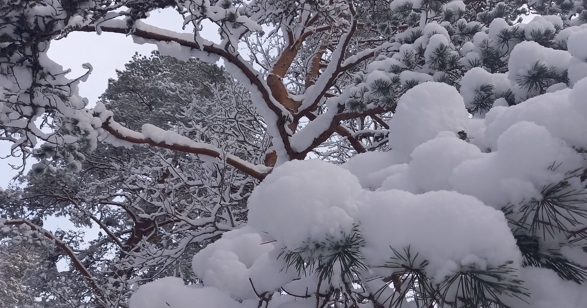 КАРТА Назван самый заснеженный город Эстонии Прогноз