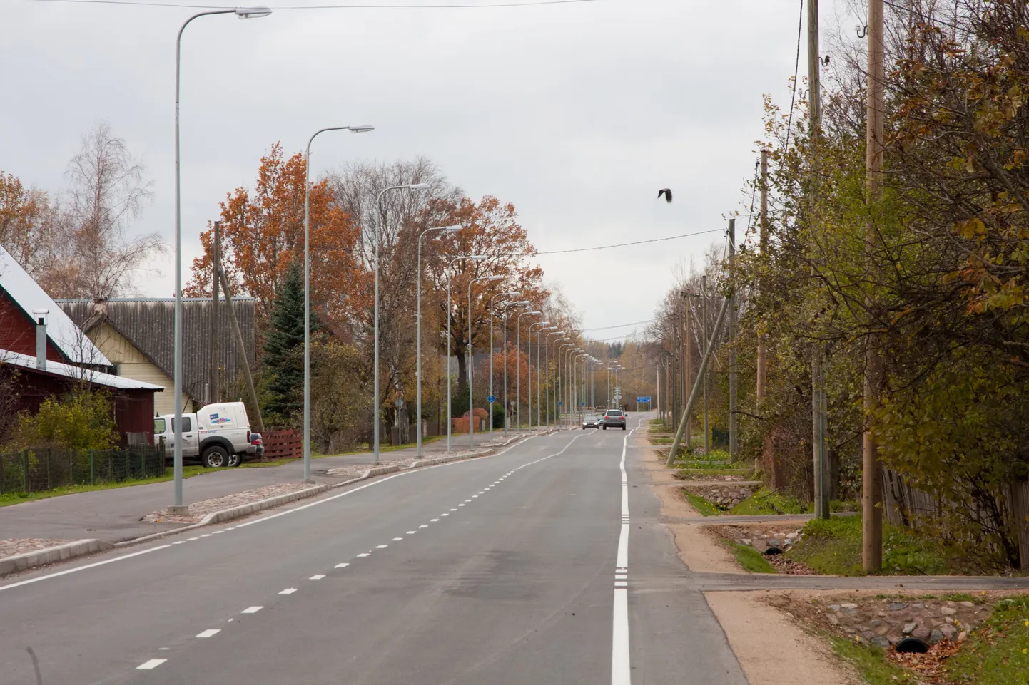 Tsirguliina. Foto on illustreeriv.