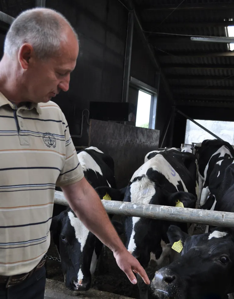 Urmas Põlluaas, kelle piimafarmis Harjumaal on 630 lüpsilehma ja teist sama palju noorloomi, ütleb, et kui rohepööret teha suure hurraaga ja tormates, võib see kaasa tuua põllumajandusettevõtete sulgemise.