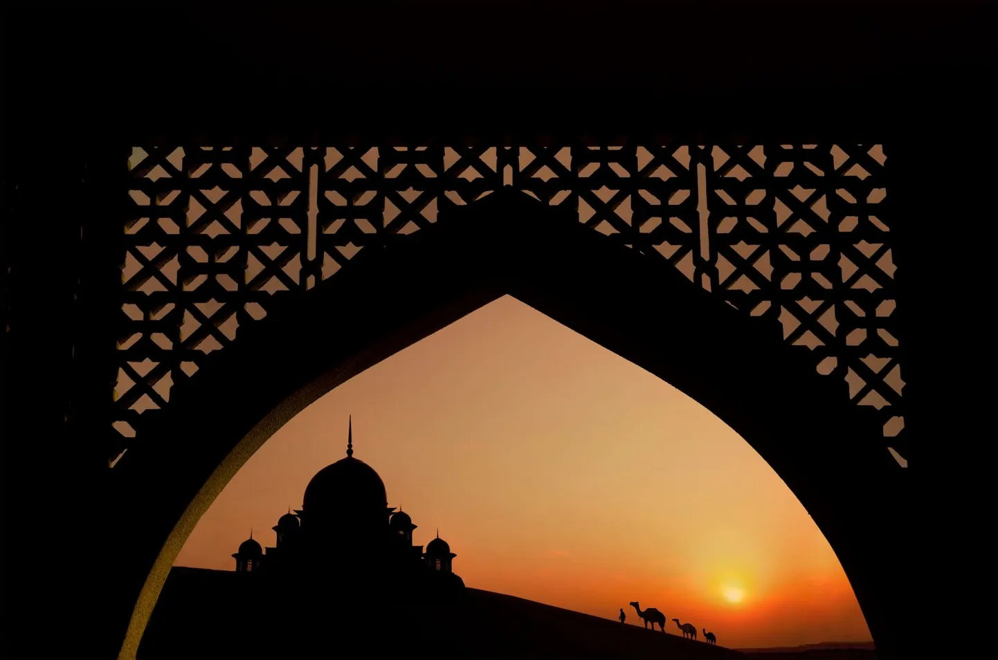 Artikli foto