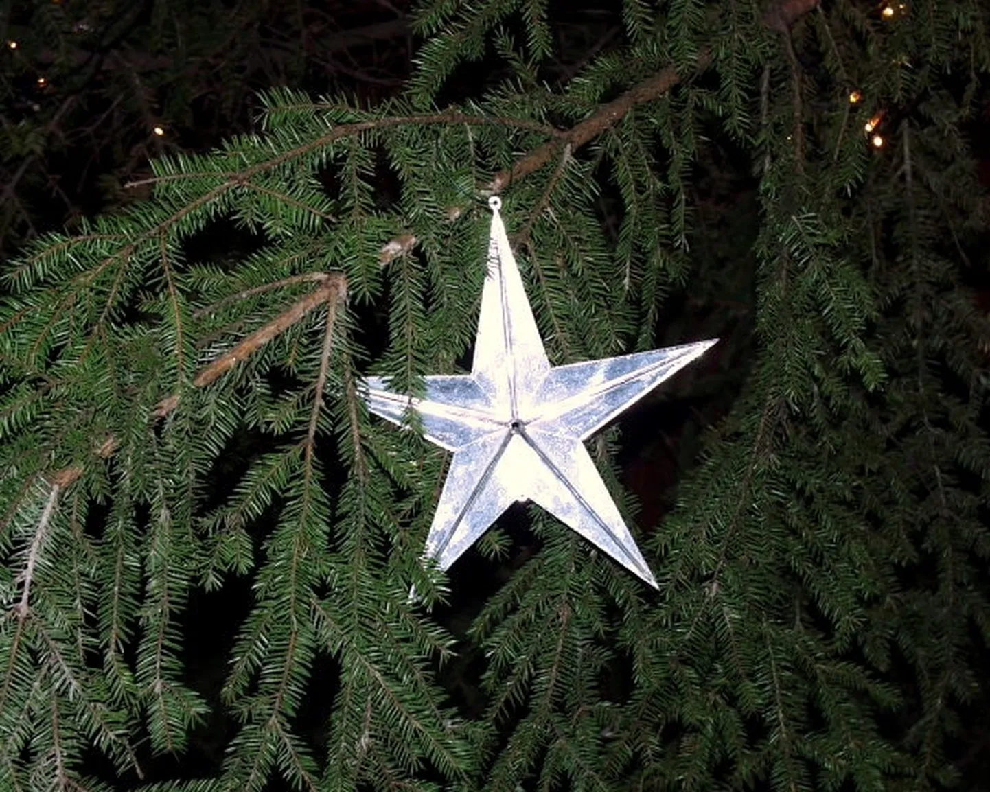 Raksta foto