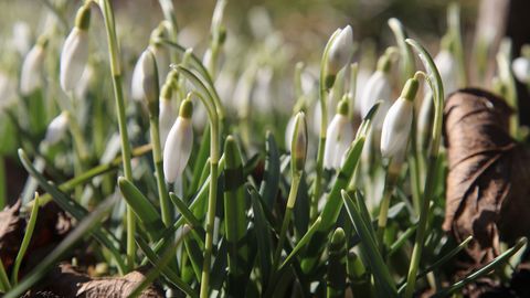 Весна пришла! Завтра в Эстонии резко потеплеет