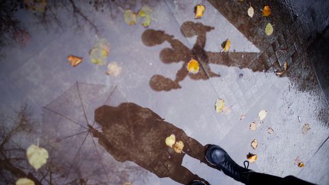 ГЛАВНОЕ ЗА 15 ОКТЯБРЯ ⟩ Подробности убийства собак, трагические детали пожара в Пурвциемсе и протест в центре Риги