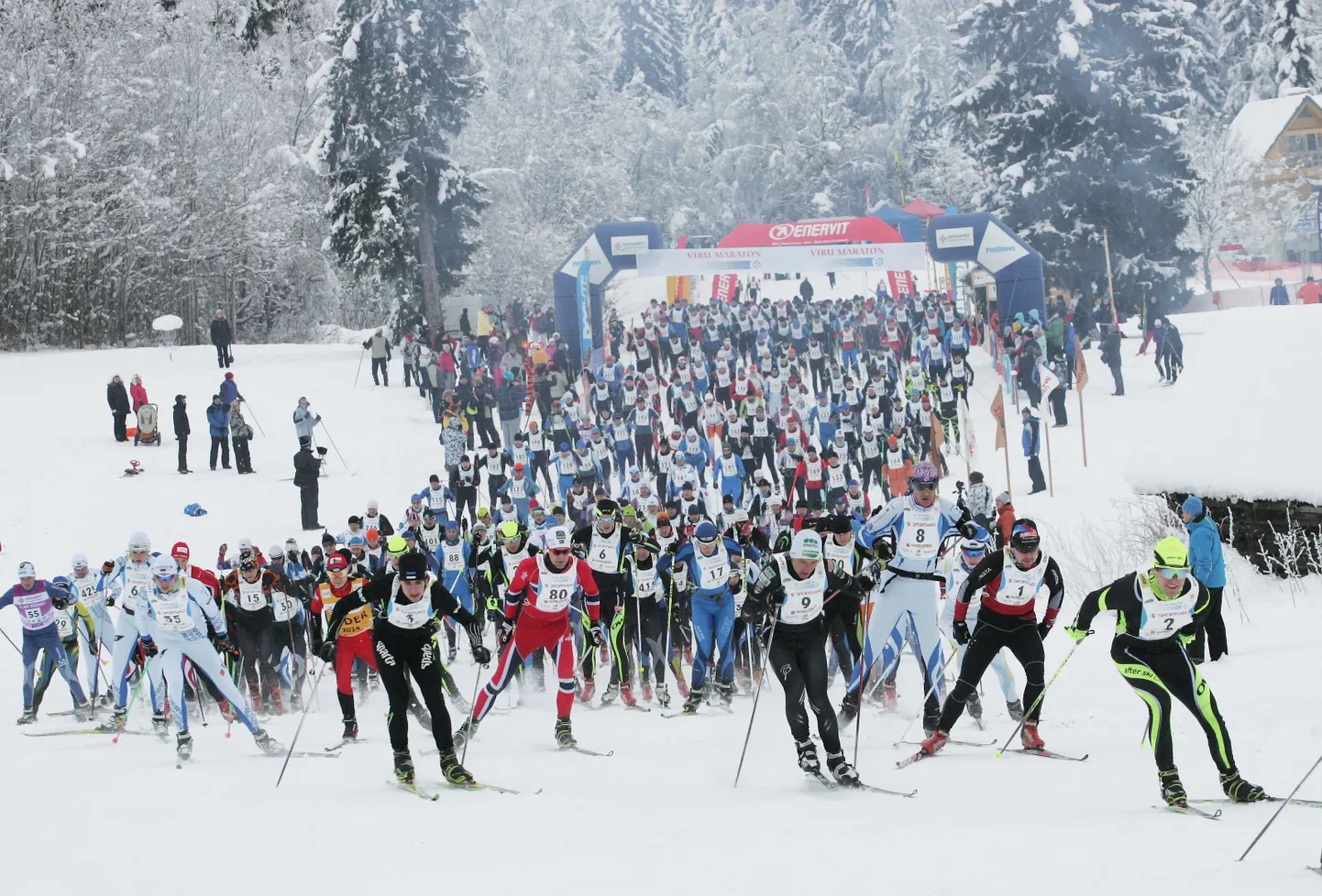 Suusamaraton.