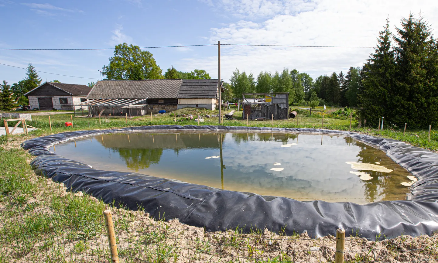 Varja külas asuvasse tiiki uppus tänavu märtsis laps, samuti on seal hukkunud vähemalt kolm rebast, kuid omanik veesilma ohtlikuks ei pea.
