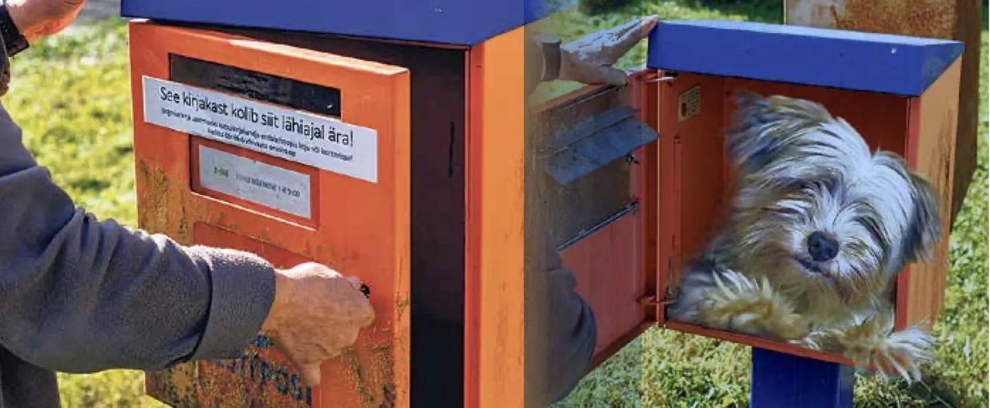 Koerad ja postiljonid sõlmivad rahulepingu.