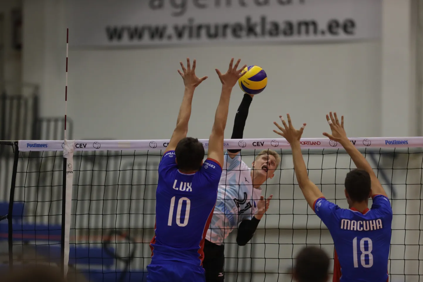 Stefan Kaibaldi debüüt osutus edukaks