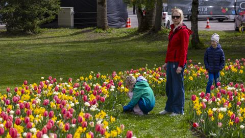 Seekordne tulbifestival oli sisult kõige kvaliteetsem