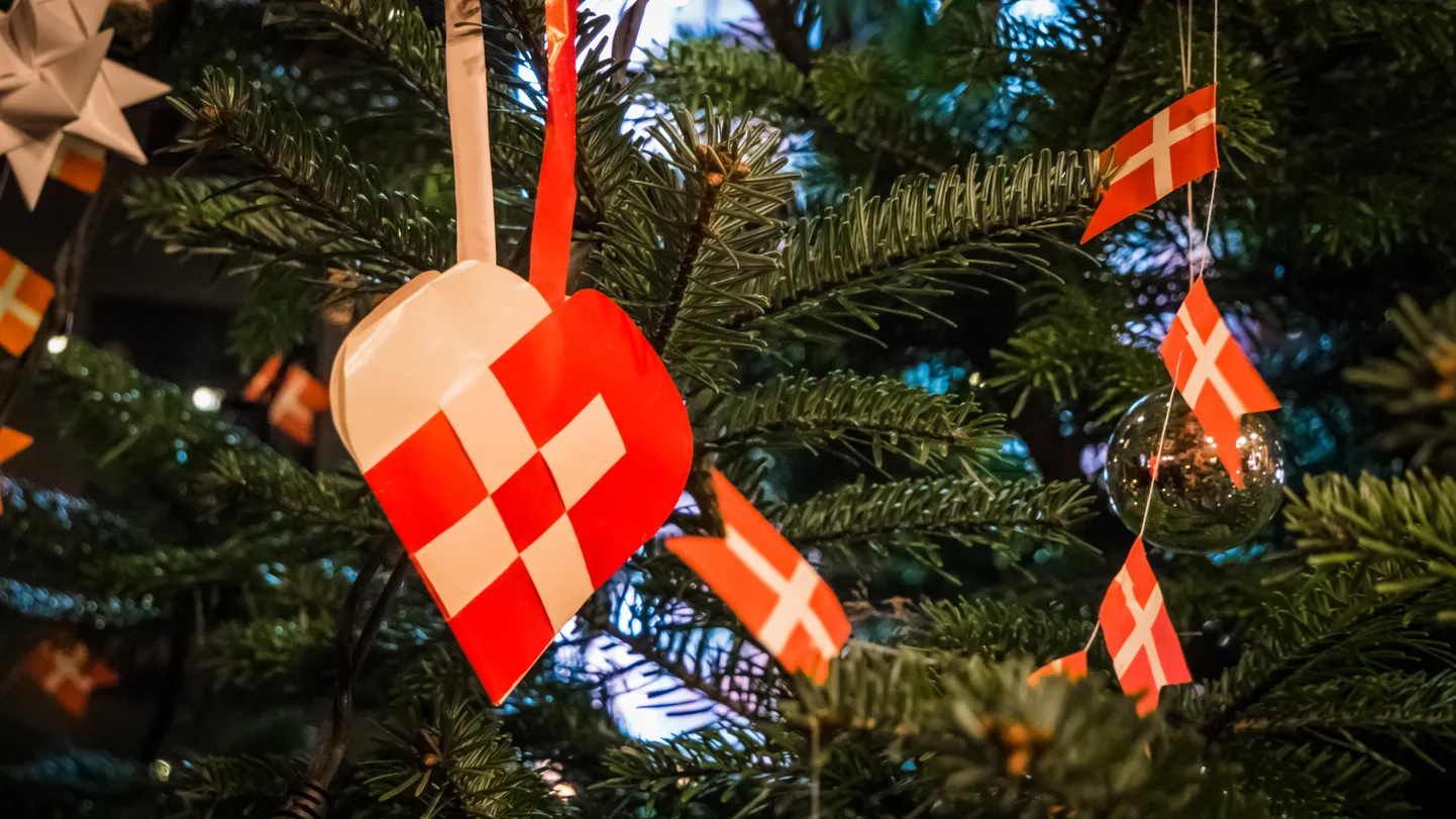 Traditional and typical Christmas Danish decoration made of paper woven heart or julehjerte with Danish flags on Christmas green pine tree