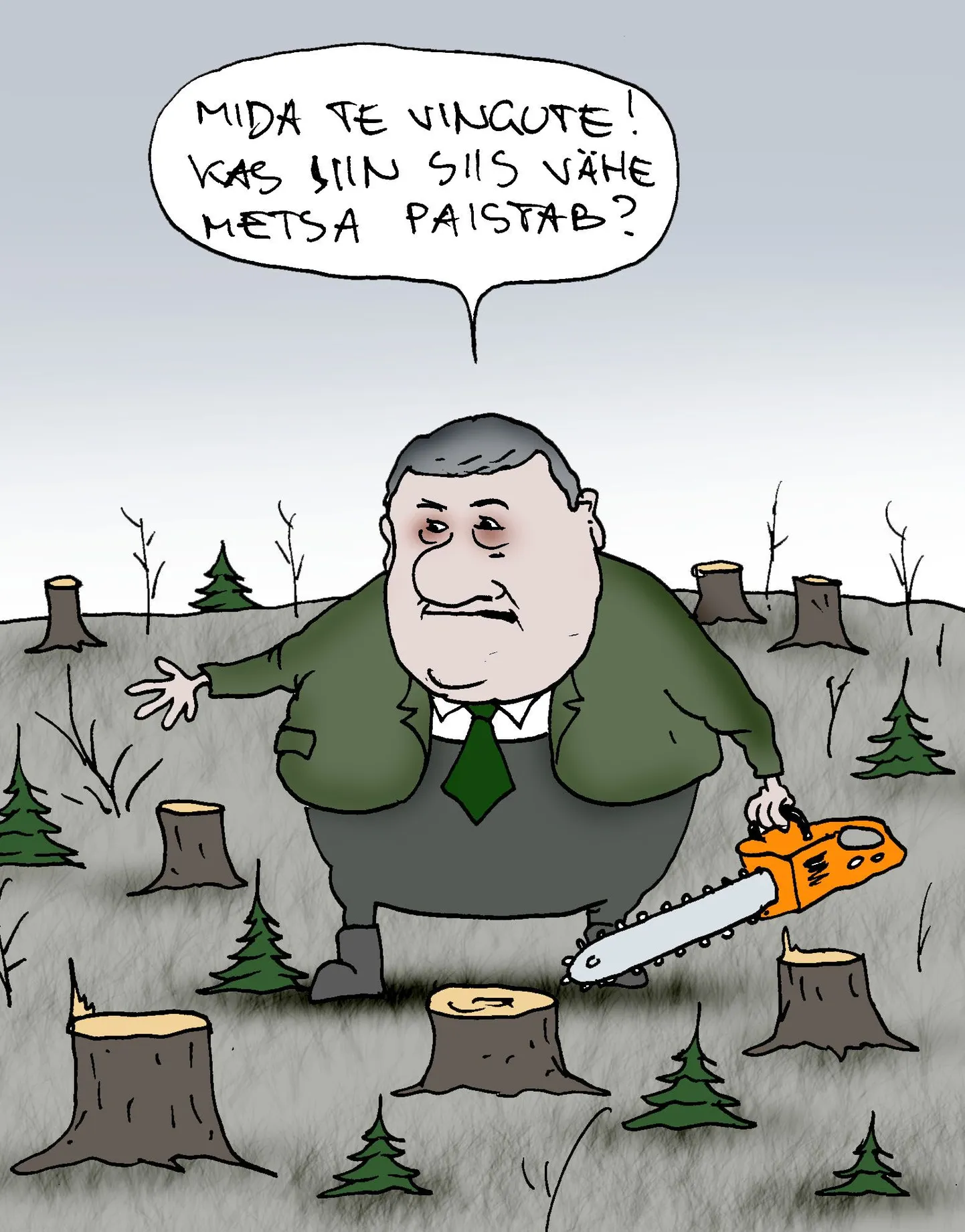Metsa on palju