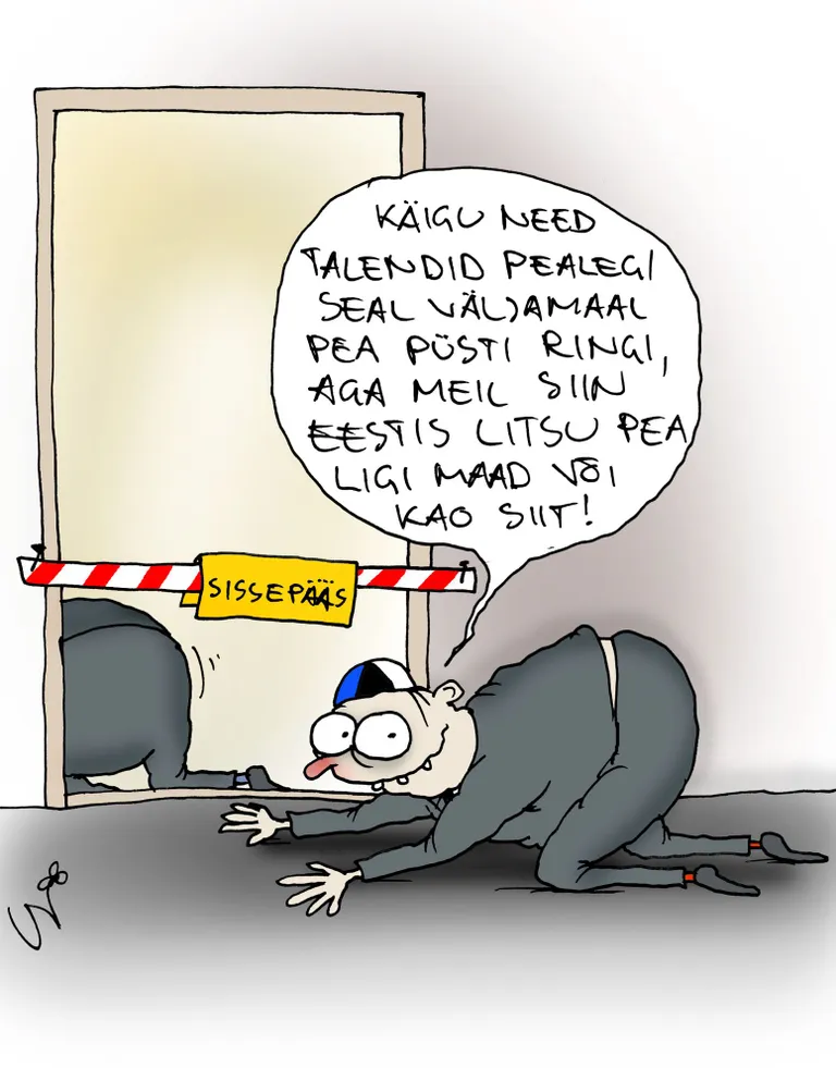 Artikli foto