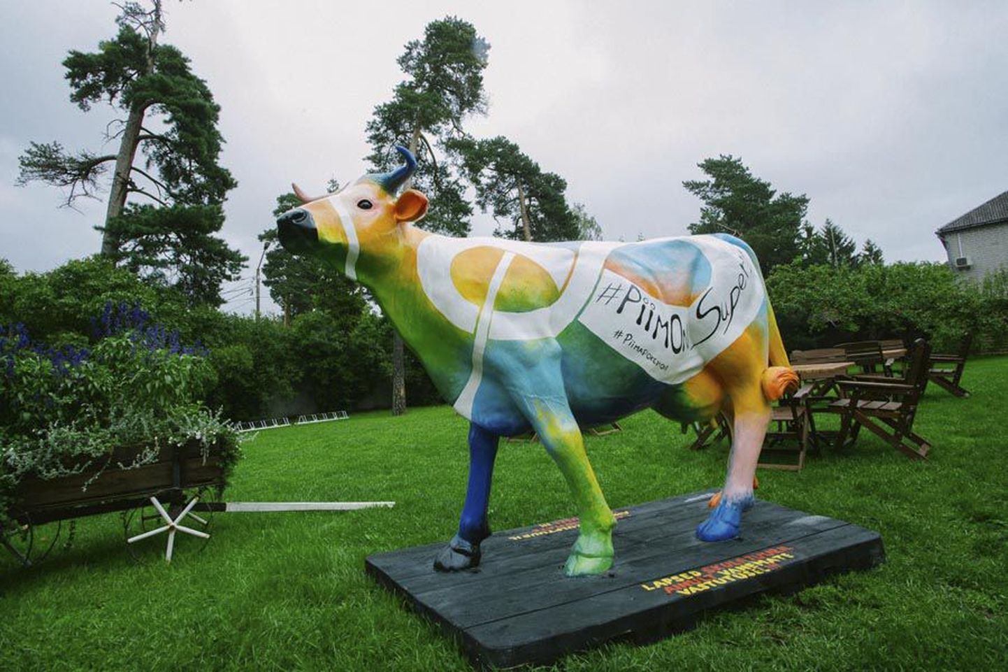 See, kas värviline lehm ka Viljandimaale jõuab, selgub homme toiduliidu Facebooki lehel.