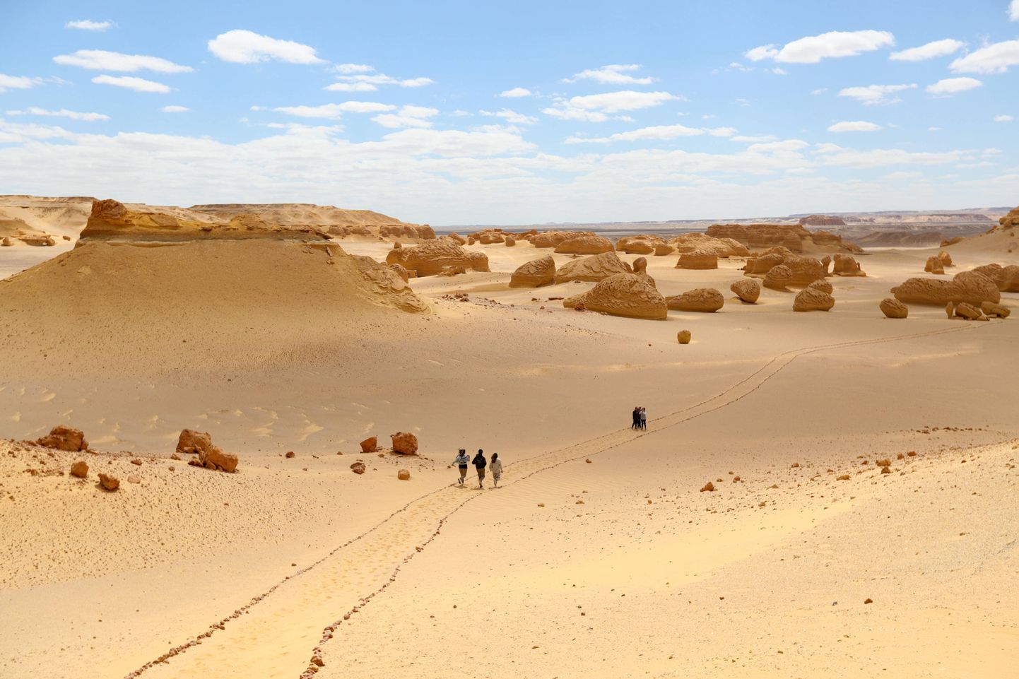 Suurem osa Egiptuse pindalast võtavad enda alla väheste oaasidega kõrbed.