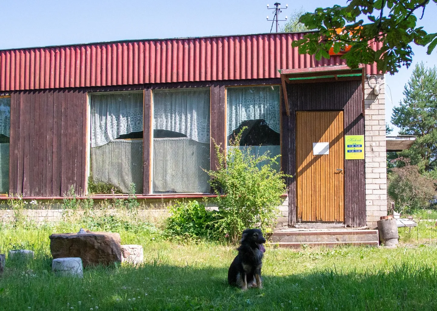 Puiatu söögikoha katus vajab uuendamist ning selle tarbeks on asutud raha koguma.