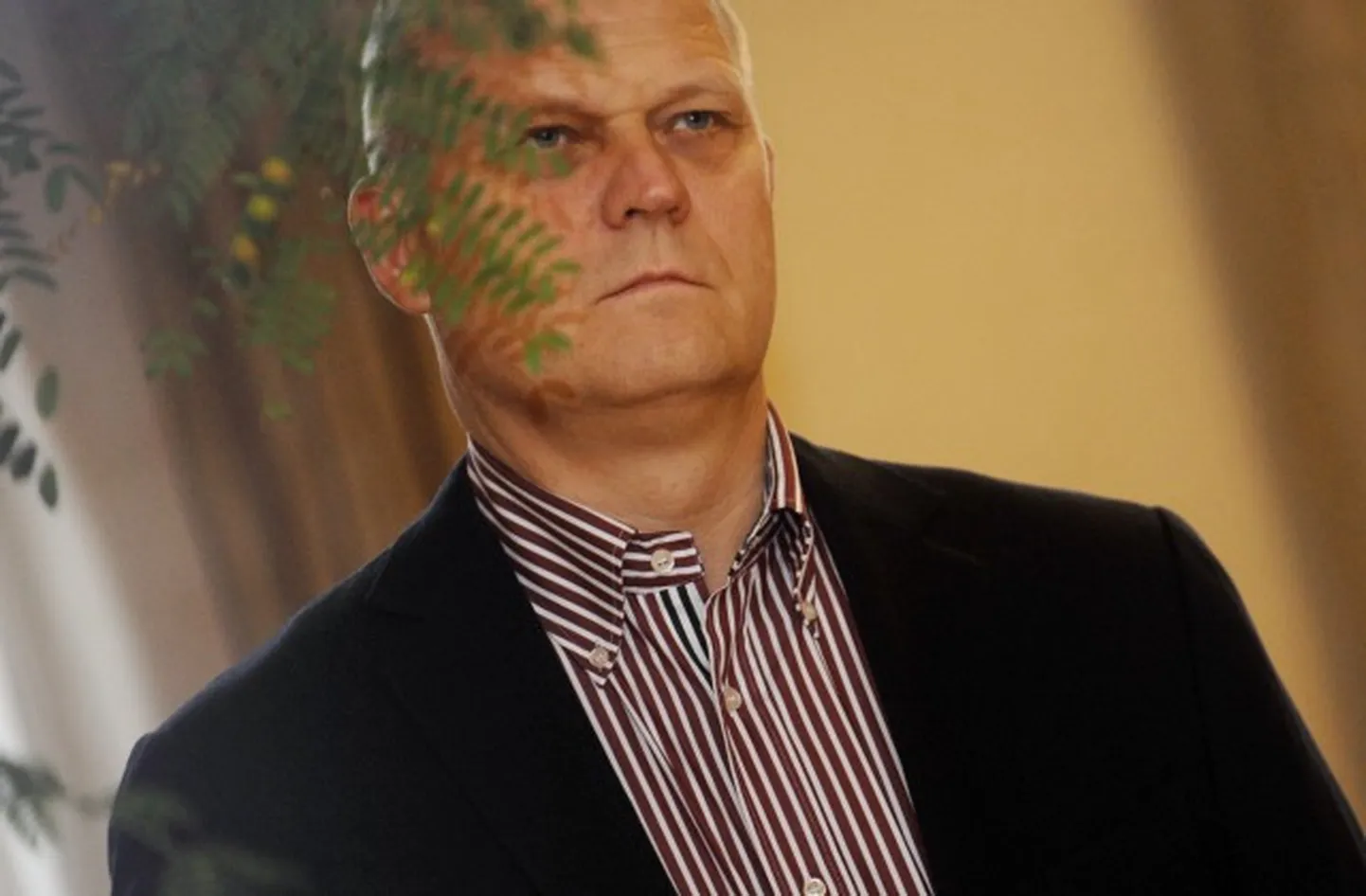 Raksta foto