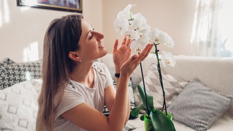 PEAB PROOVIMA ⟩ See lihtne nõks päästab orhidee kindlast surmast