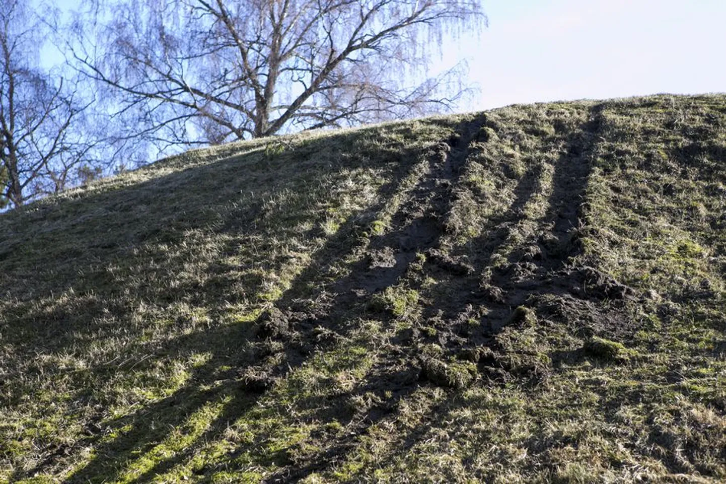ATV-dega on püstloodis nõlvast üles sõidetud ja teisest ülijärsust kohast laskutud, järele on jäänud aga inetud jäljed.